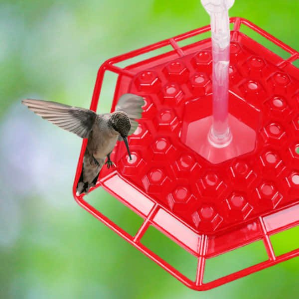 Shirem™ Hummingbird Feeder step 2